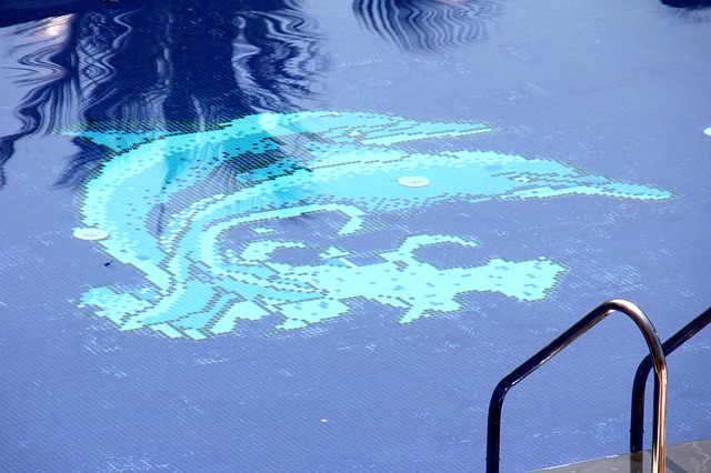 bazén s obrázky delfínů na dně